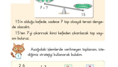 2. Sınıf Matematik Pasifik Yayınları Sayfa 67 Cevapları