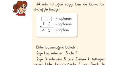 2. Sınıf Matematik Pasifik Yayınları Sayfa 68 Cevapları