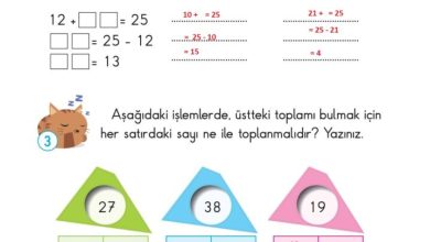 2. Sınıf Matematik Pasifik Yayınları Sayfa 69 Cevapları