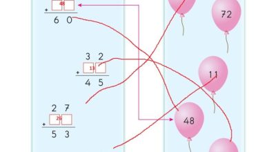 2. Sınıf Matematik Pasifik Yayınları Sayfa 70 Cevapları