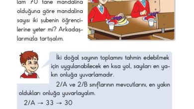 2. Sınıf Matematik Pasifik Yayınları Sayfa 71 Cevapları