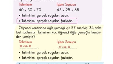 2. Sınıf Matematik Pasifik Yayınları Sayfa 72 Cevapları