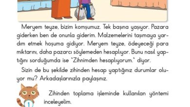 2. Sınıf Matematik Pasifik Yayınları Sayfa 73 Cevapları