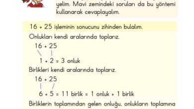 2. Sınıf Matematik Pasifik Yayınları Sayfa 74 Cevapları