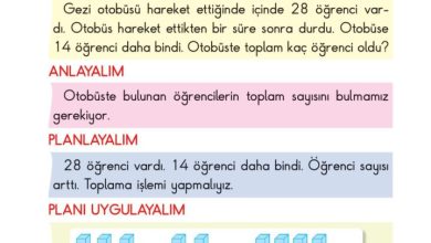 2. Sınıf Matematik Pasifik Yayınları Sayfa 76 Cevapları