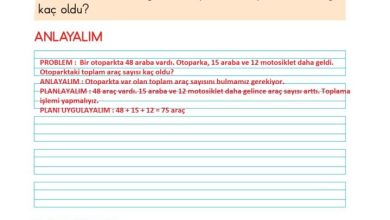 2. Sınıf Matematik Pasifik Yayınları Sayfa 77 Cevapları