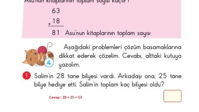 2. Sınıf Matematik Pasifik Yayınları Sayfa 78 Cevapları