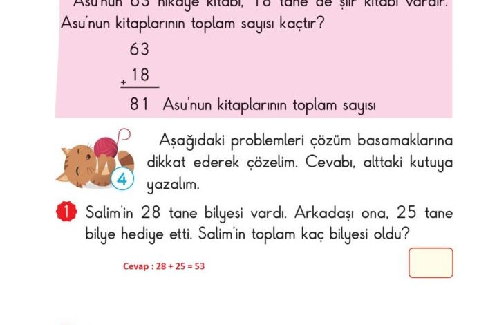 2. Sınıf Matematik Pasifik Yayınları Sayfa 78 Cevapları