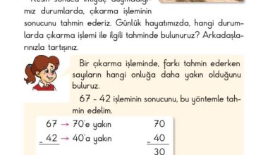 2. Sınıf Matematik Pasifik Yayınları Sayfa 81 Cevapları