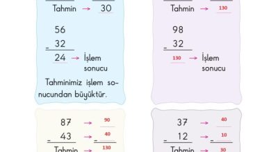 2. Sınıf Matematik Pasifik Yayınları Sayfa 82 Cevapları