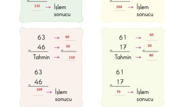 2. Sınıf Matematik Pasifik Yayınları Sayfa 83 Cevapları