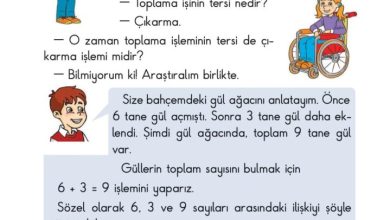 2. Sınıf Matematik Pasifik Yayınları Sayfa 84 Cevapları