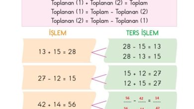 2. Sınıf Matematik Pasifik Yayınları Sayfa 86 Cevapları