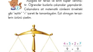 2. Sınıf Matematik Pasifik Yayınları Sayfa 89 Cevapları