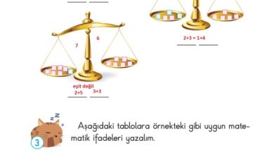 2. Sınıf Matematik Pasifik Yayınları Sayfa 90 Cevapları