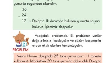 2. Sınıf Matematik Pasifik Yayınları Sayfa 92 Cevapları