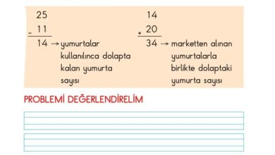 2. Sınıf Matematik Pasifik Yayınları Sayfa 93 Cevapları