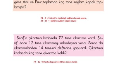 2. Sınıf Matematik Pasifik Yayınları Sayfa 94 Cevapları