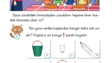 2. Sınıf Matematik Pasifik Yayınları Sayfa 95 Cevapları