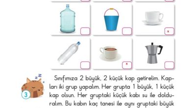 2. Sınıf Matematik Pasifik Yayınları Sayfa 96 Cevapları