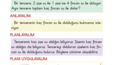 2. Sınıf Matematik Pasifik Yayınları Sayfa 97 Cevapları