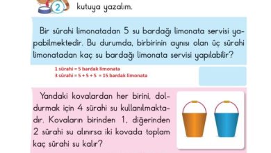 2. Sınıf Matematik Pasifik Yayınları Sayfa 98 Cevapları