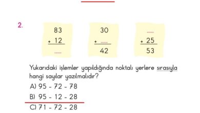 2. Sınıf Matematik Pasifik Yayınları Sayfa 99 Cevapları