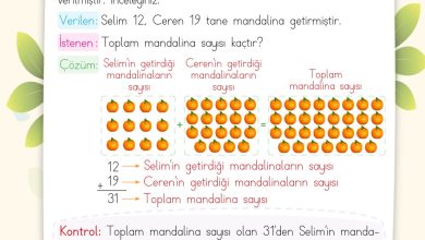 2. Sınıf Meb Yayınları Matematik Ders Kitabı Sayfa 103 Cevapları