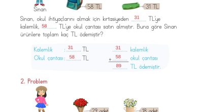 2. Sınıf Meb Yayınları Matematik Ders Kitabı Sayfa 104 Cevapları