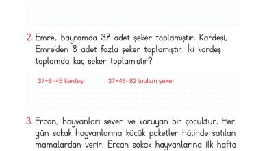 2. Sınıf Meb Yayınları Matematik Ders Kitabı Sayfa 105 Cevapları