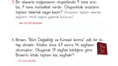 2. Sınıf Meb Yayınları Matematik Ders Kitabı Sayfa 106 Cevapları