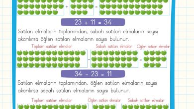 2. Sınıf Meb Yayınları Matematik Ders Kitabı Sayfa 109 Cevapları