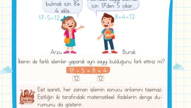 2. Sınıf Meb Yayınları Matematik Ders Kitabı Sayfa 113 Cevapları