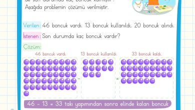 2. Sınıf Meb Yayınları Matematik Ders Kitabı Sayfa 116 Cevapları