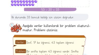 2. Sınıf Meb Yayınları Matematik Ders Kitabı Sayfa 117 Cevapları