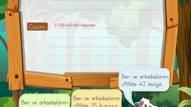 2. Sınıf Meb Yayınları Matematik Ders Kitabı Sayfa 119 Cevapları