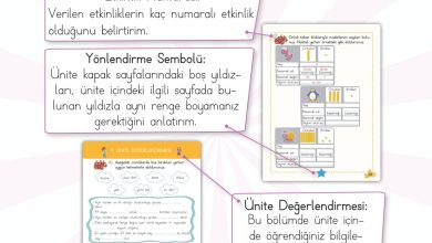 2. Sınıf Meb Yayınları Matematik Ders Kitabı Sayfa 12 Cevapları