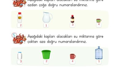 2. Sınıf Meb Yayınları Matematik Ders Kitabı Sayfa 124 Cevapları