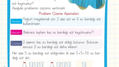 2. Sınıf Meb Yayınları Matematik Ders Kitabı Sayfa 127 Cevapları