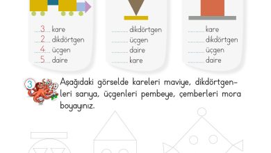 2. Sınıf Meb Yayınları Matematik Ders Kitabı Sayfa 137 Cevapları