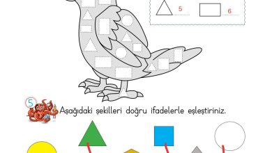 2. Sınıf Meb Yayınları Matematik Ders Kitabı Sayfa 138 Cevapları