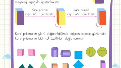 2. Sınıf Meb Yayınları Matematik Ders Kitabı Sayfa 146 Cevapları