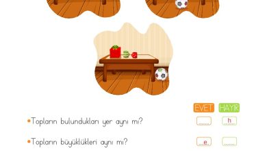 2. Sınıf Meb Yayınları Matematik Ders Kitabı Sayfa 147 Cevapları