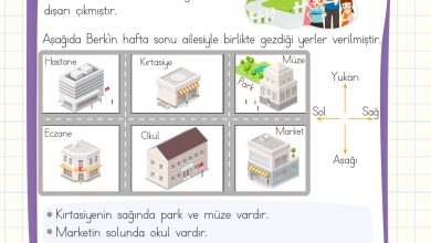 2. Sınıf Meb Yayınları Matematik Ders Kitabı Sayfa 149 Cevapları