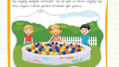 2. Sınıf Meb Yayınları Matematik Ders Kitabı Sayfa 15 Cevapları