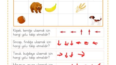 2. Sınıf Meb Yayınları Matematik Ders Kitabı Sayfa 151 Cevapları