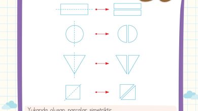 2. Sınıf Meb Yayınları Matematik Ders Kitabı Sayfa 152 Cevapları