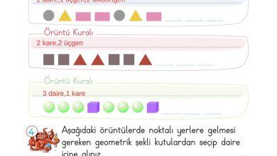 2. Sınıf Meb Yayınları Matematik Ders Kitabı Sayfa 157 Cevapları