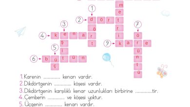 2. Sınıf Meb Yayınları Matematik Ders Kitabı Sayfa 159 Cevapları