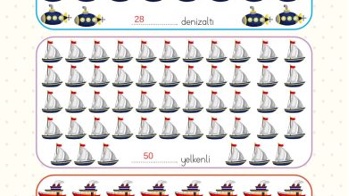 2. Sınıf Meb Yayınları Matematik Ders Kitabı Sayfa 16 Cevapları